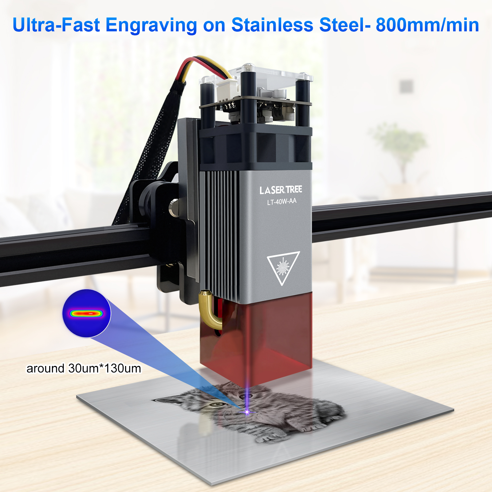 LASER TREE 5W Air Assist Metal - Industrial Laser Tool review and price